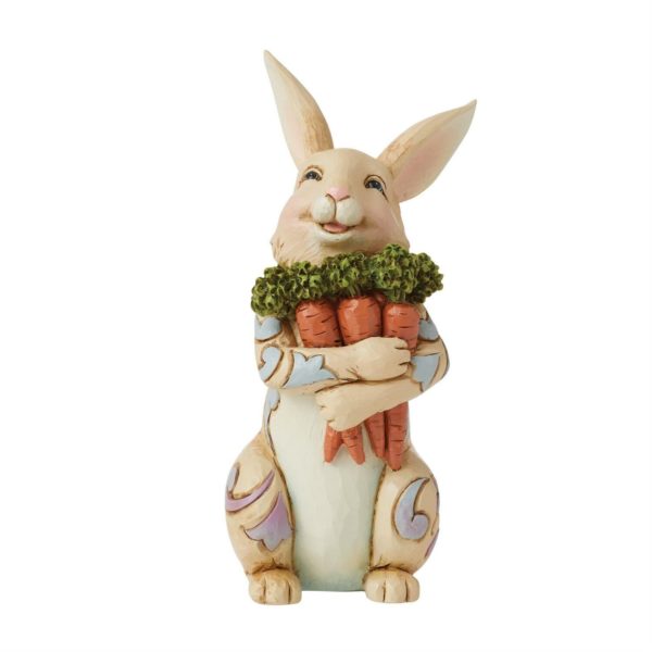 Lapin portant ses carottes